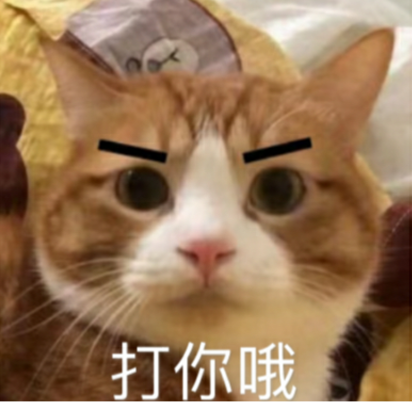 屿