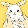 User19259163