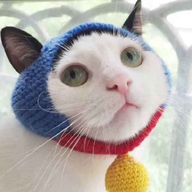 嘻嘻嘻