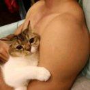 我怎么知道我是什么犬