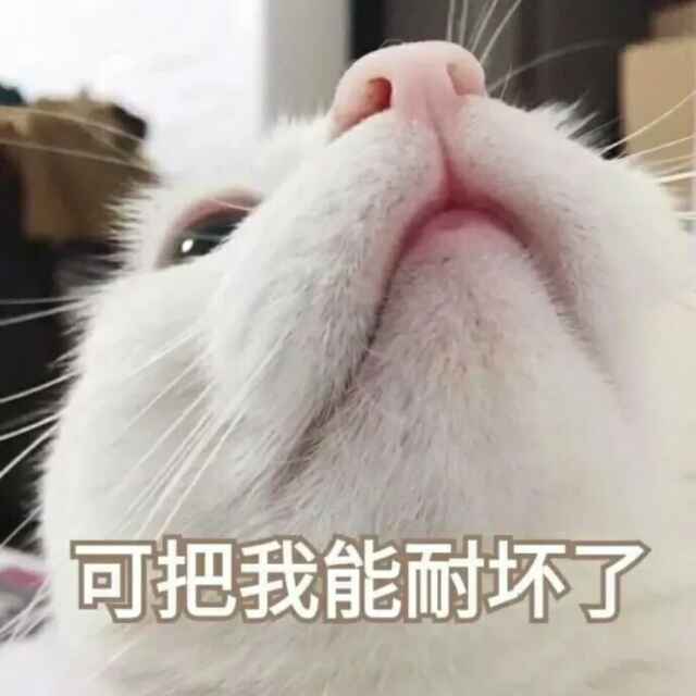 一只蹦跳的猴子