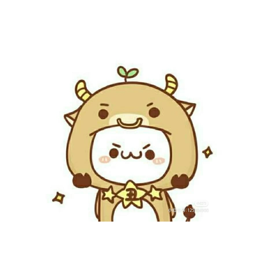 洪小六