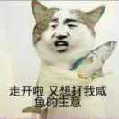 酱油思密达
