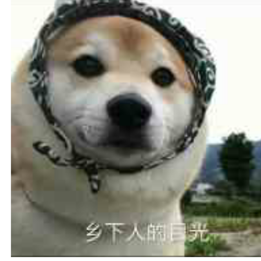 👿～vampire ～🐒