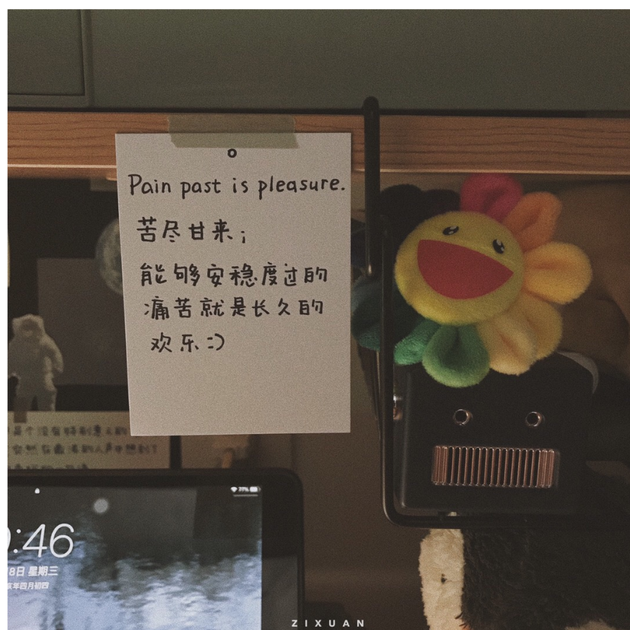 宋愉悦