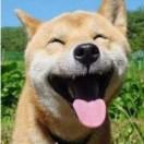 夜