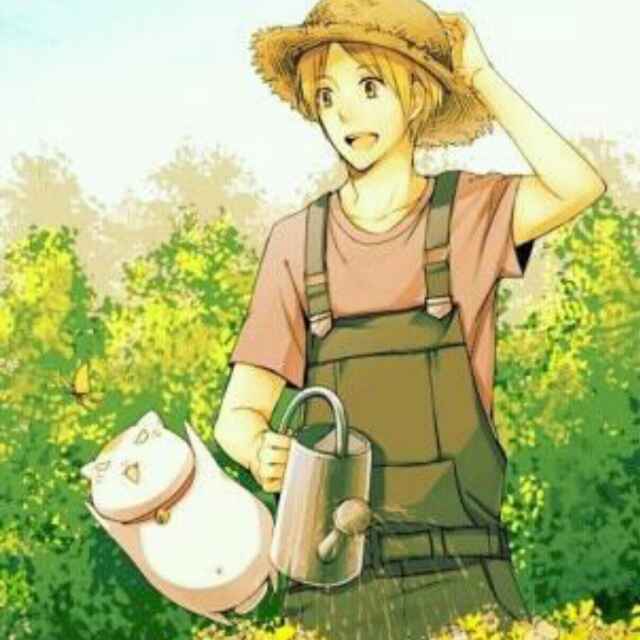 宝宝妈chc