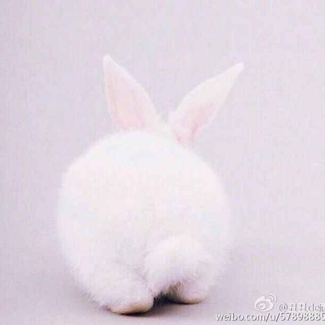 好棒～好棒的宝宝