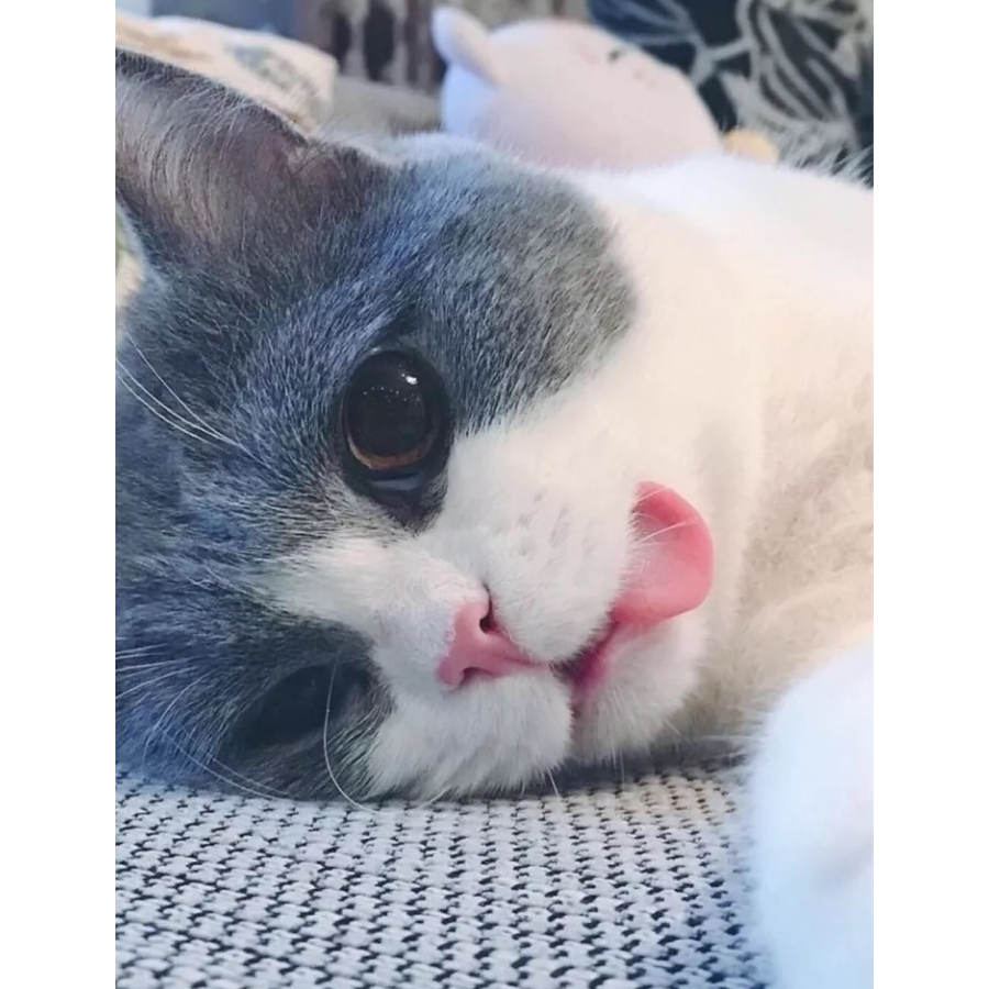 橘子味的Ade