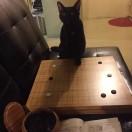 陈翰韬