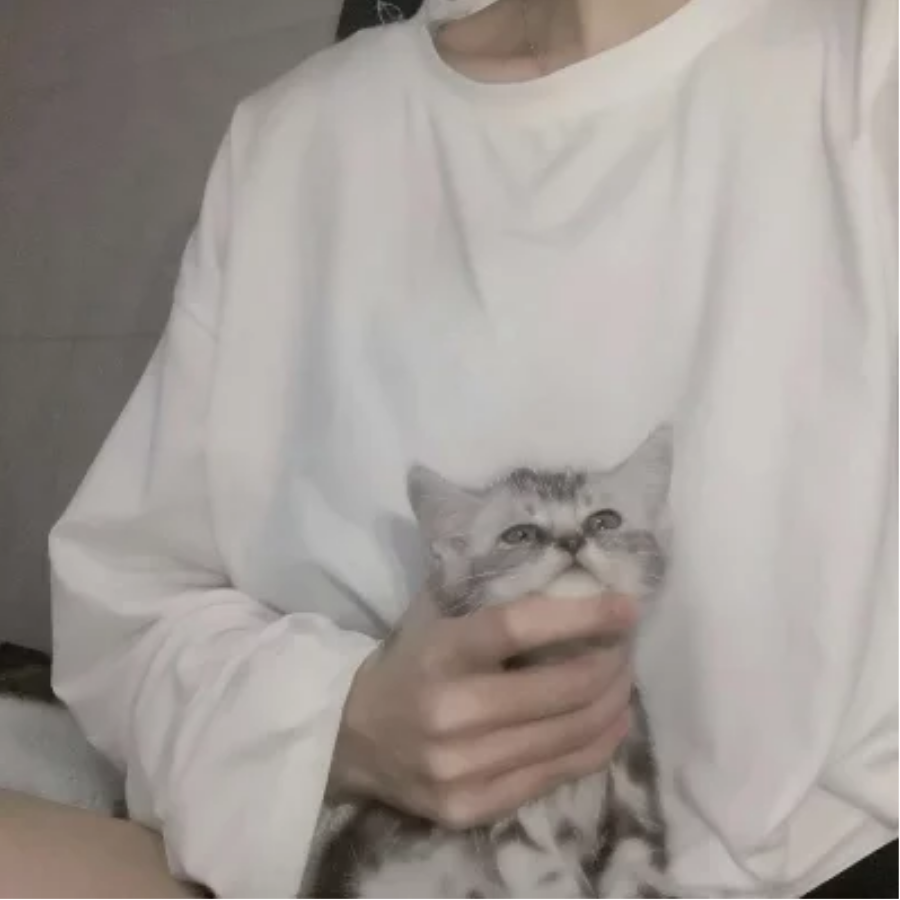 🌠 十二 🍭