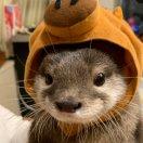 (｡･ω･｡)ﾉ★