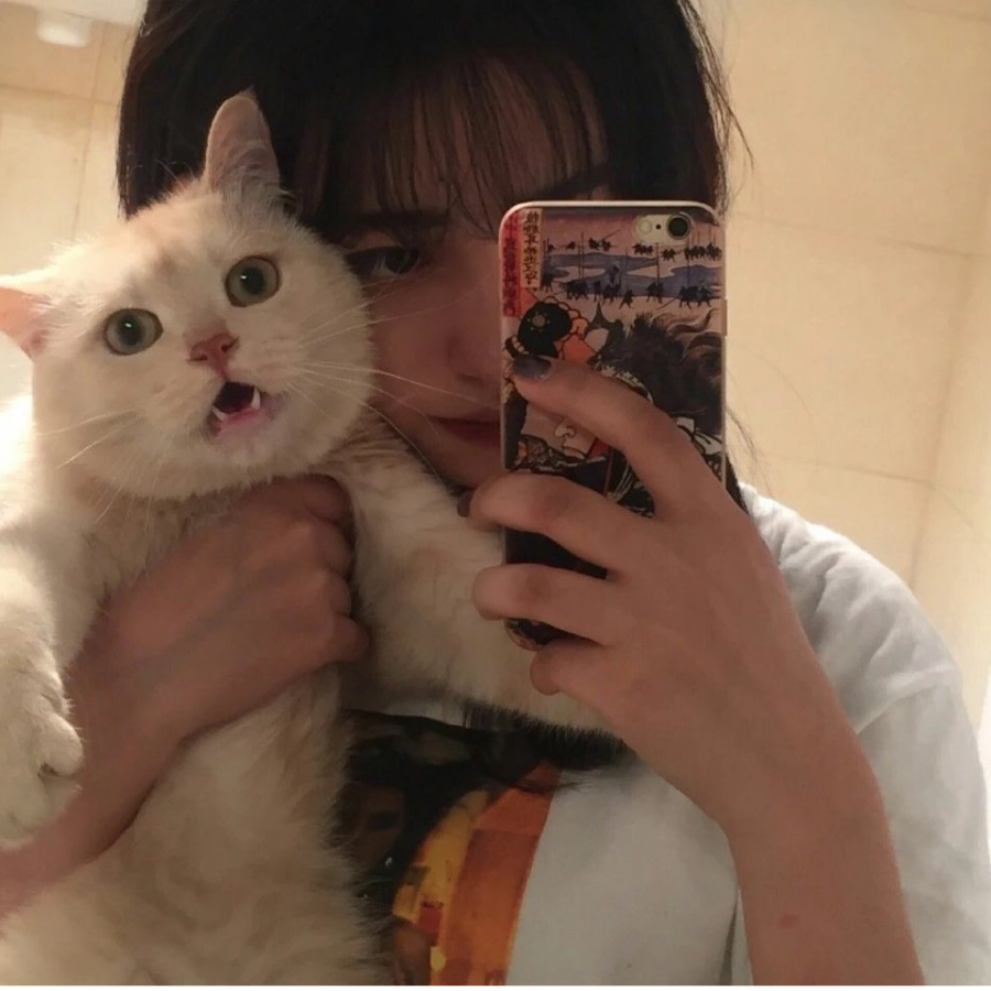 婳