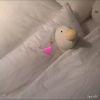 过度自由