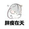 三点十七