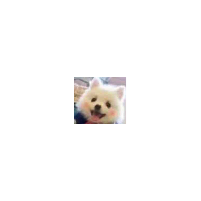 汪