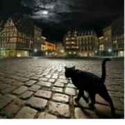 夜猫秘话