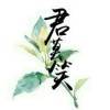 迟墨