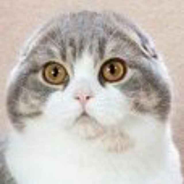 。