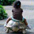 骑着乌龟上高速