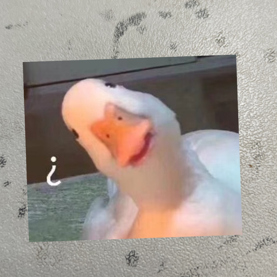For丶you