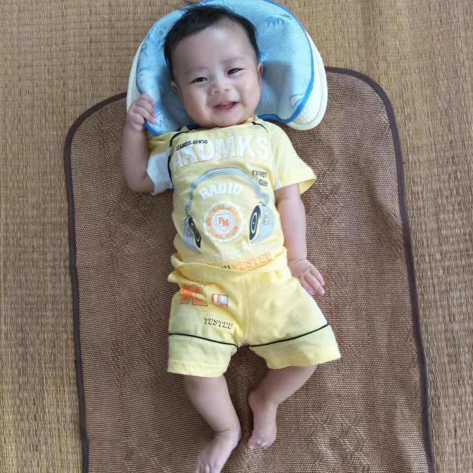 晴天白鹭