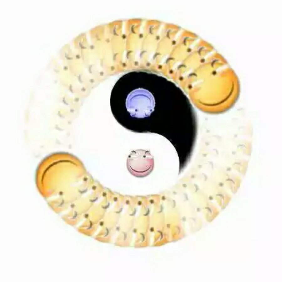 悾白