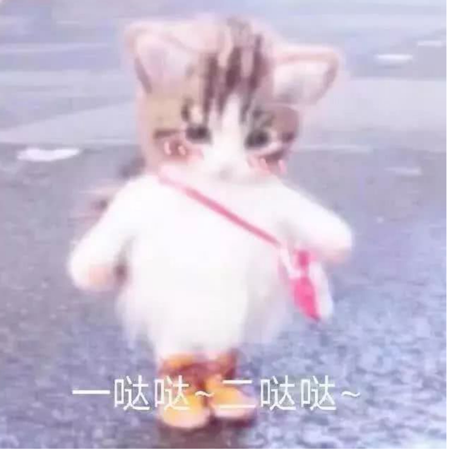 凝月٩