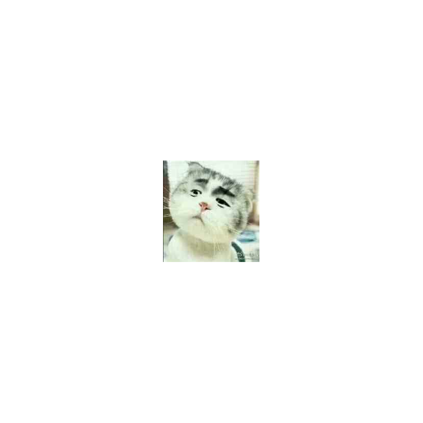 Shaco