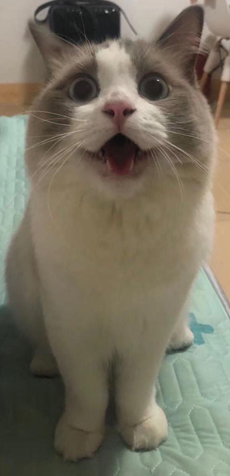 五