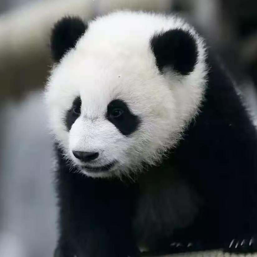 不过如此