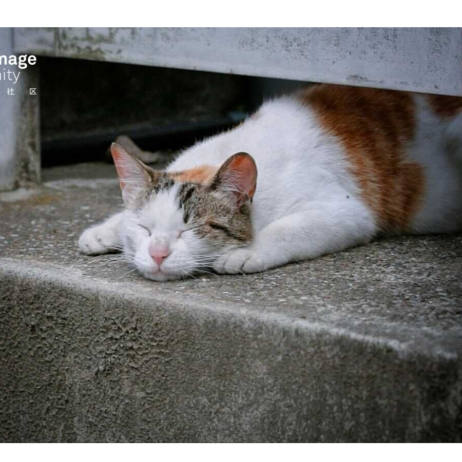 小艺小艺