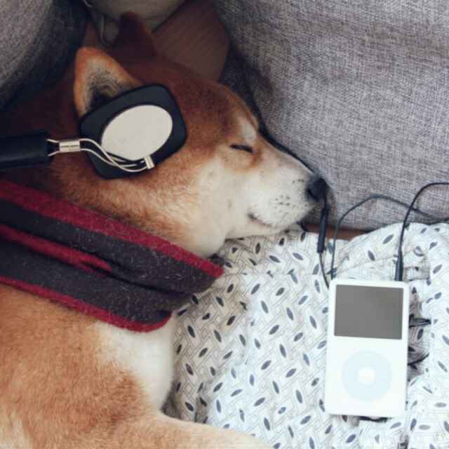 洛、安