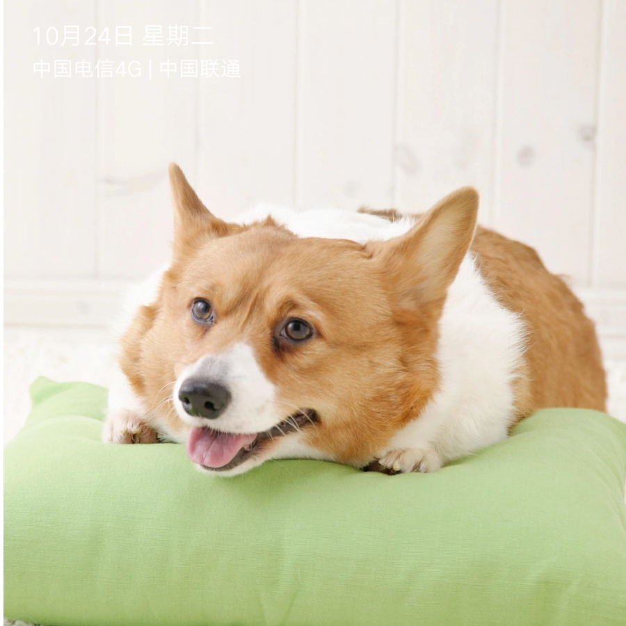 娴啊
