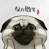不以物喜，不以己悲