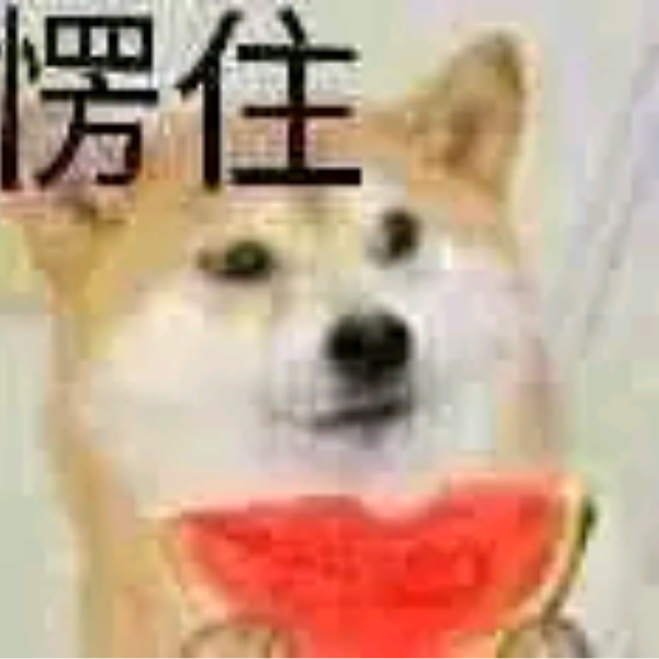 伪装