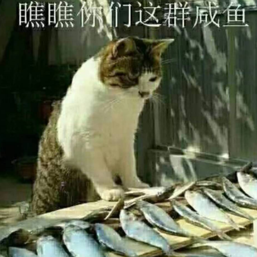 烛离JULY