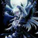User24497511