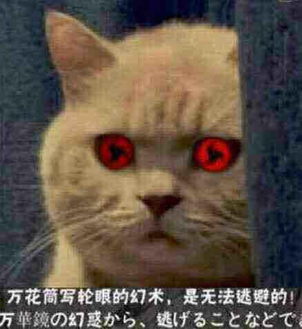 火影忍者 : 疾风乱舞