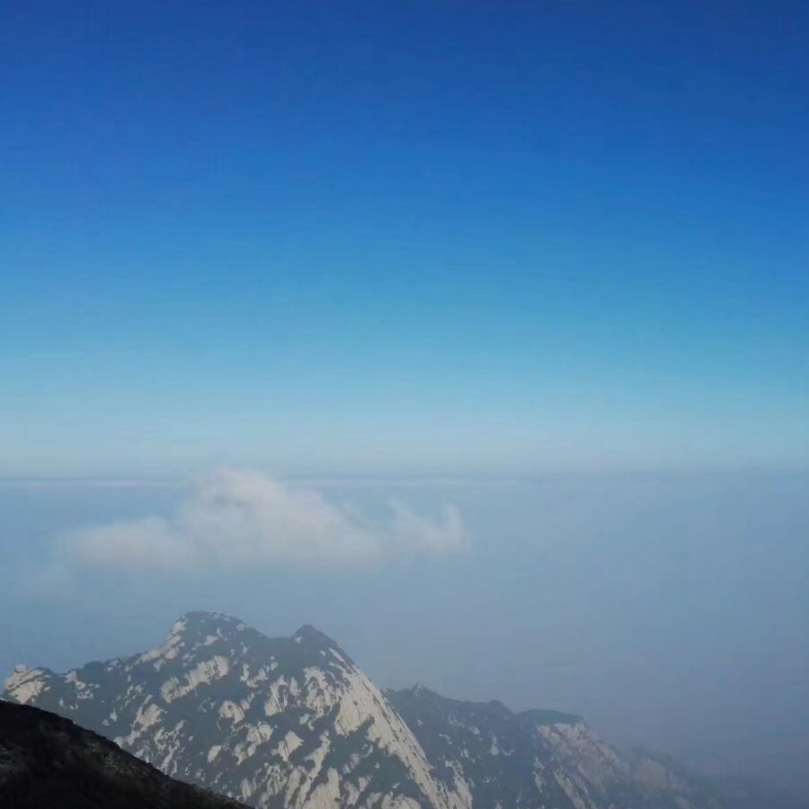 一头冷静的大蒜