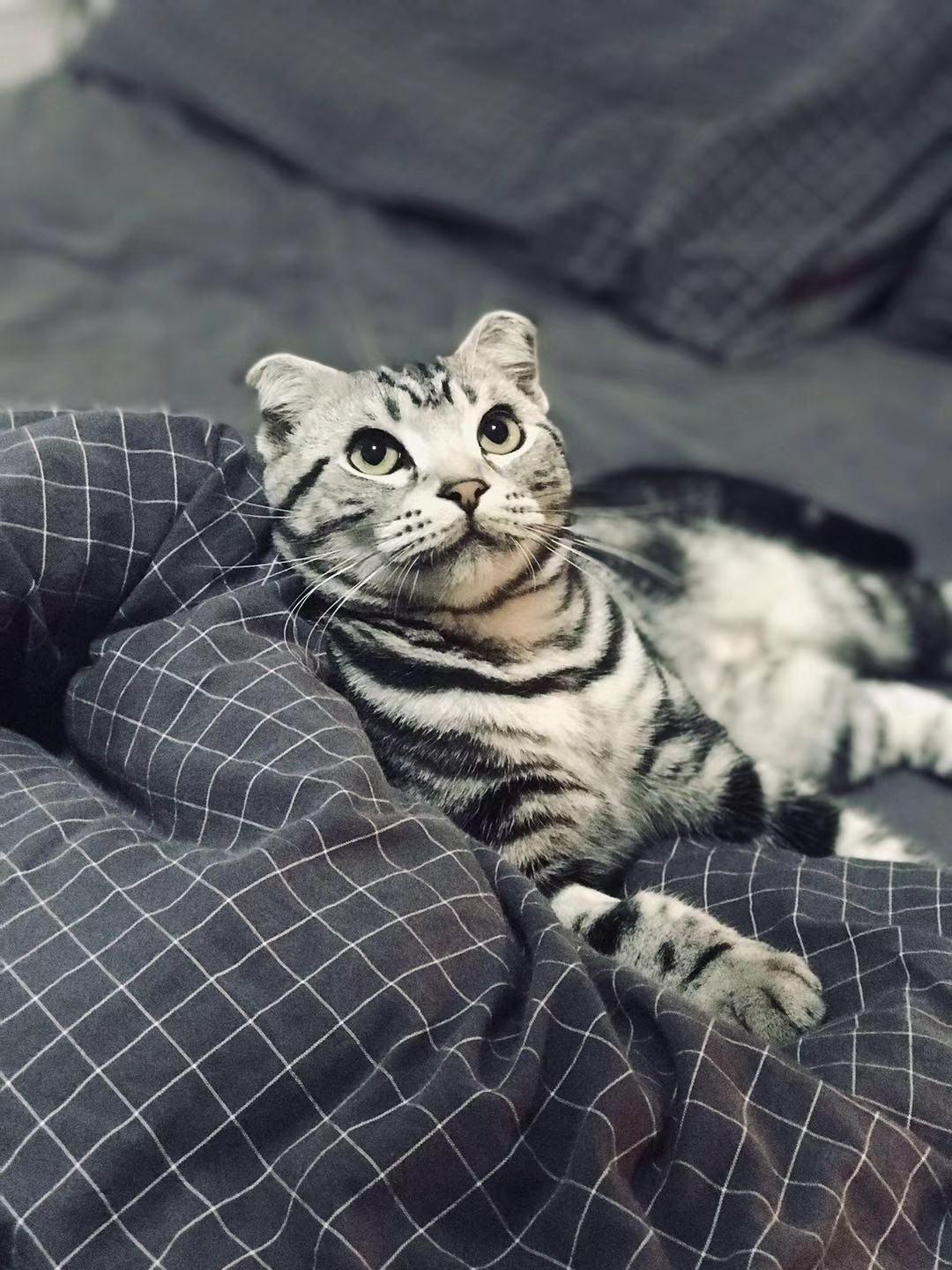 手机用户55751673