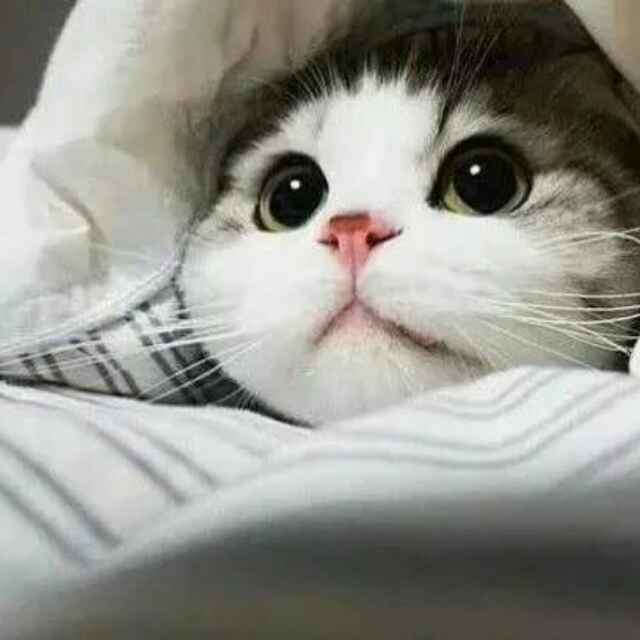 「   」
