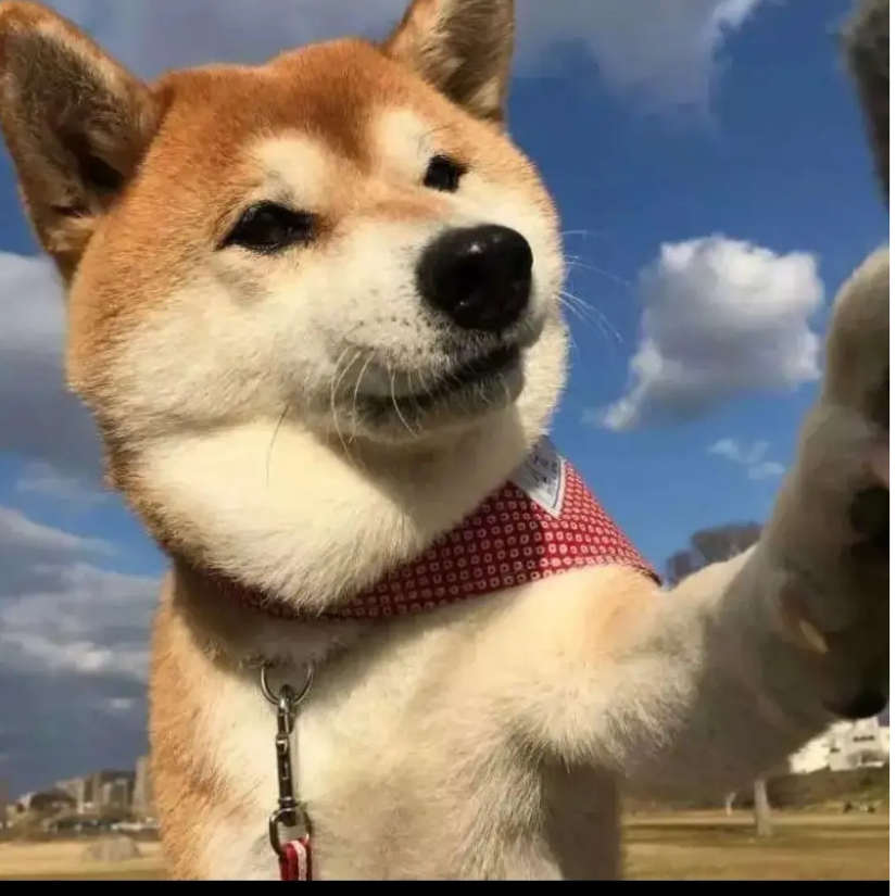 墨念