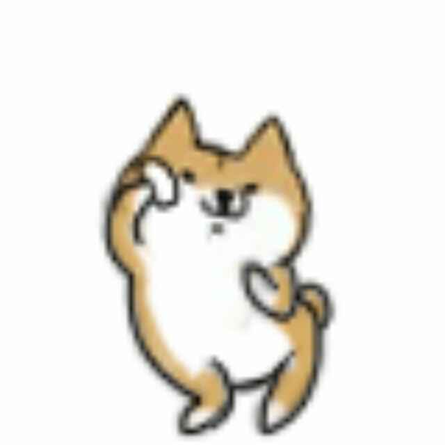 小白