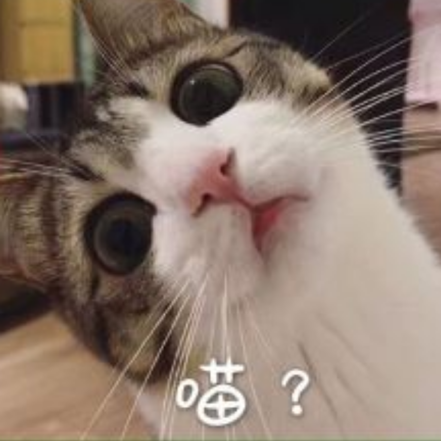 猜猜吖_