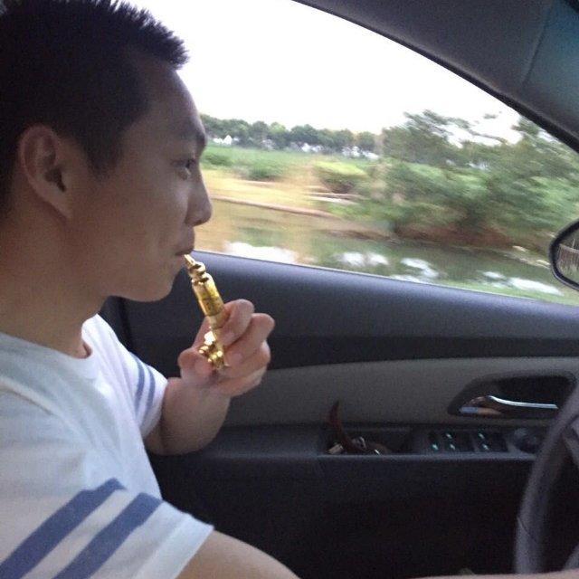 穿条鱼