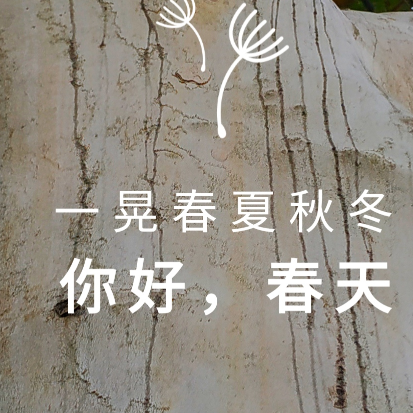 南风知我意