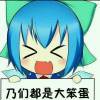 一只小⑨