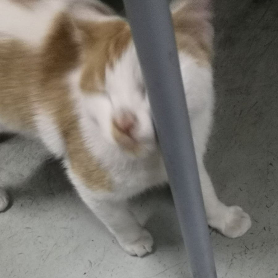 再平凡不过了