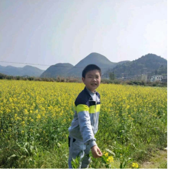 毛绒绒先生